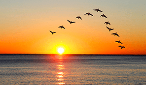 migrate to australia - Migration Agent Gold Coast - Ready Migration